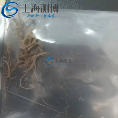 測博冷凍研磨儀對(duì)植物根莖研磨檢測提取一條龍實(shí)驗(yàn)案例