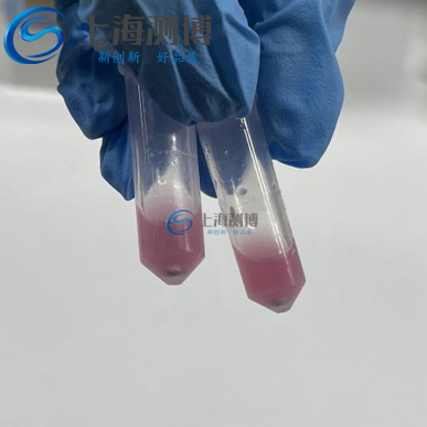 冷凍研磨儀助力動(dòng)物睪丸組織蛋白、DNA 及 RNA 高效提取實(shí)驗(yàn)案例